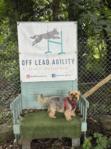 Off Lead Agility, Donamana in Derry City and Strabane